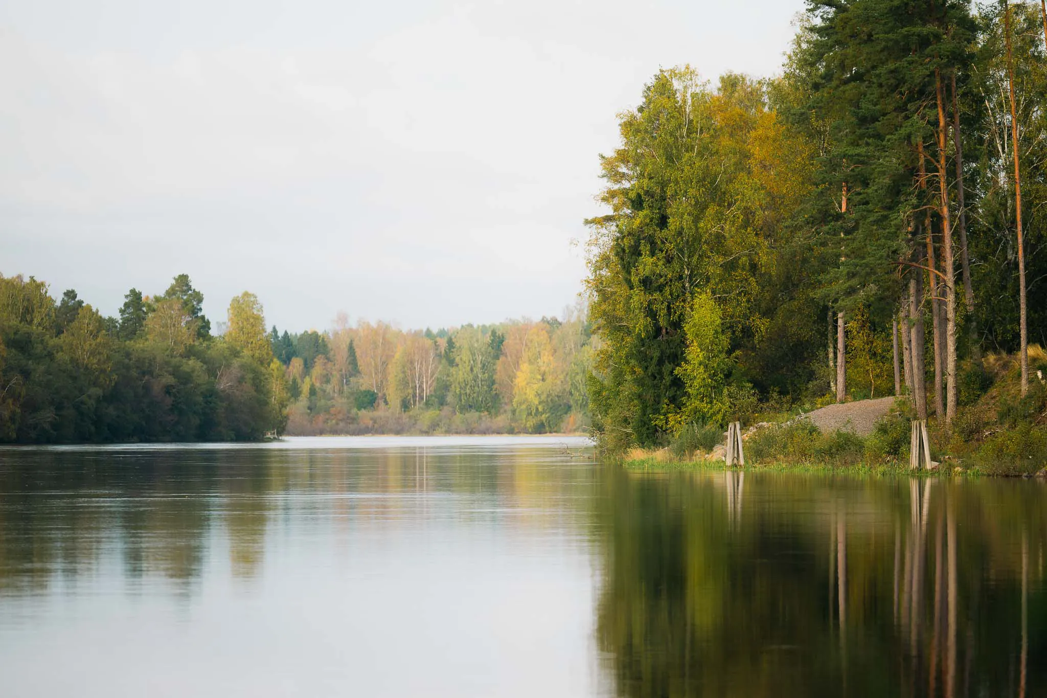 Vatten och skog